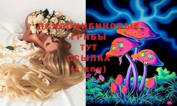 синтетический гашиш Сосновоборск