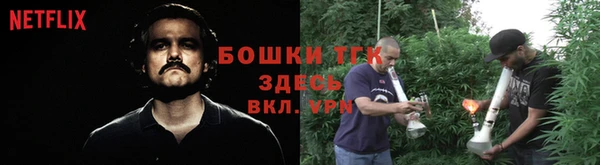 прущие крисы Абаза