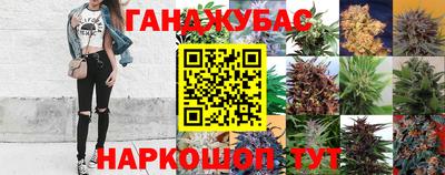 крисы Волжский