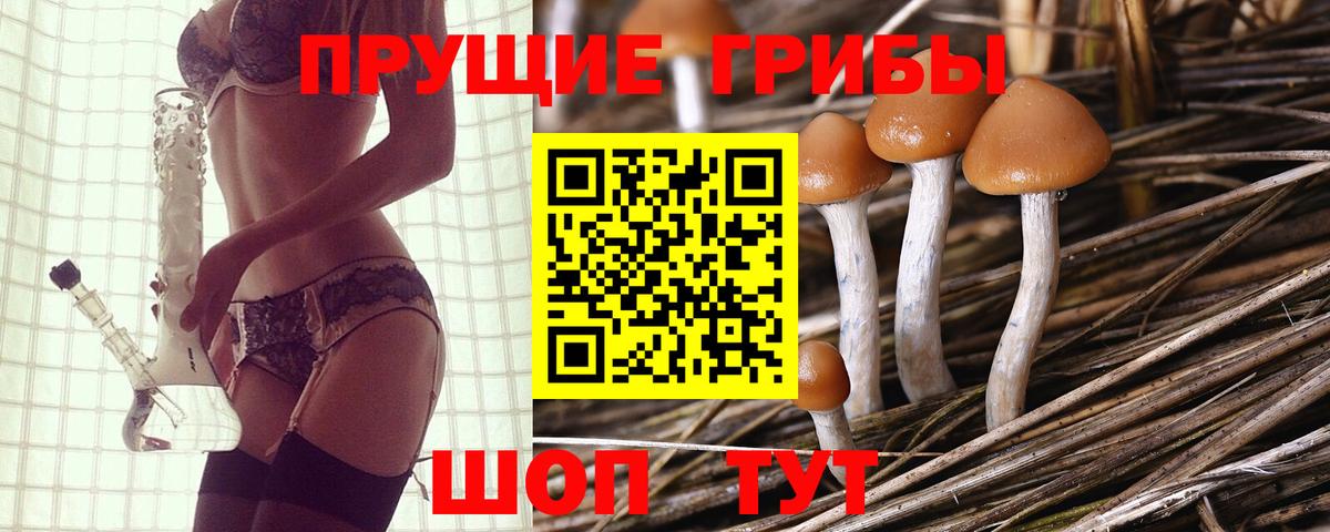 Краснодар  Псилоцибиновые грибы MAGIC MUSHROOMS  Вход с VPN 