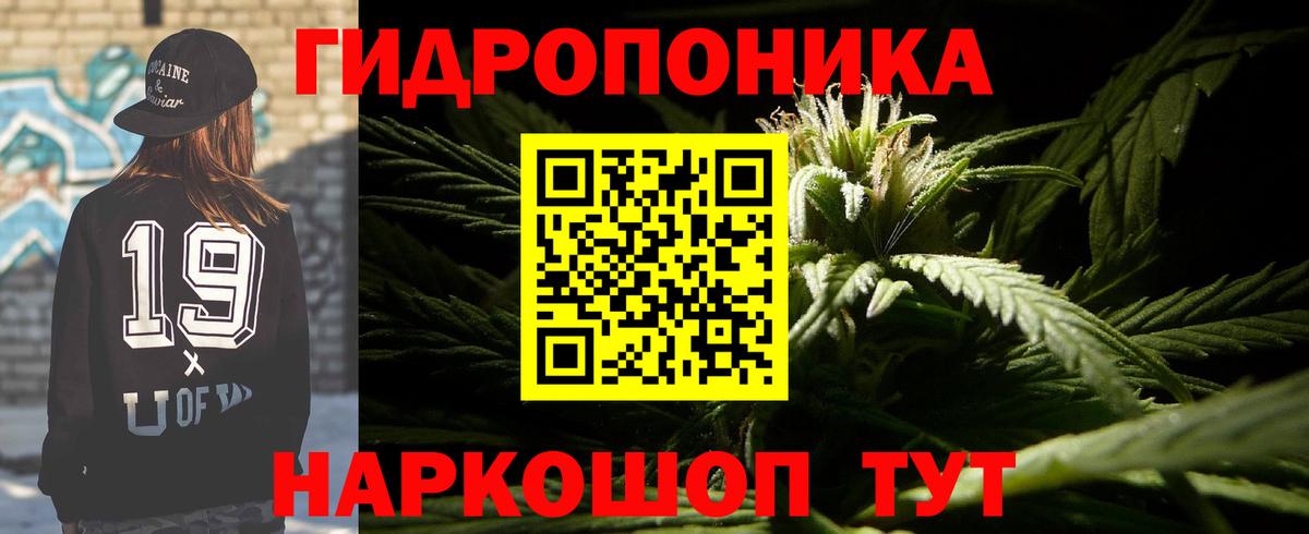 Бошки Шишки Amnesia Краснодар